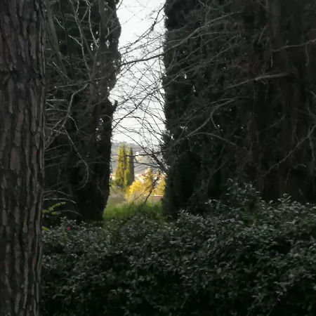 Daire La Casa Di Duccio Con Parcheggio Gratuito Floransa